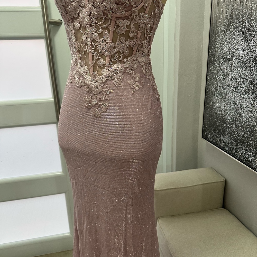 2x$70- Elegant Blush Lace Appliqué Evening Gown - Picture 2 of 6